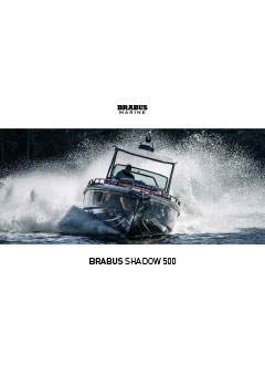 Broschüre Shadow 500 2022