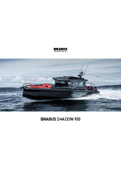Broschüre Shadow 900 2022